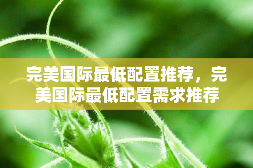 完美国际最低配置需求推荐图片