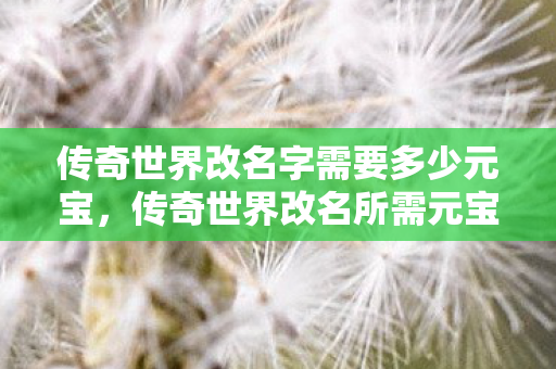 传奇世界改名字需要多少元宝图片