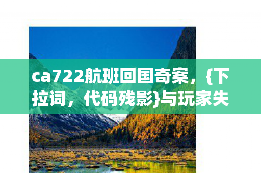 ca722航班回国奇案图片