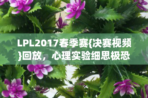 LPL2017春季赛图片