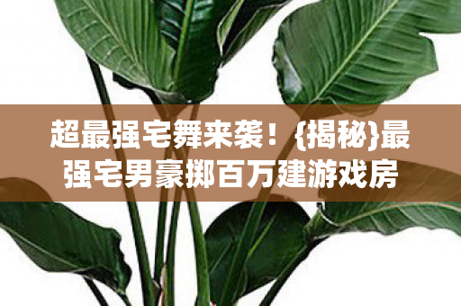 最强宅男豪掷百万建游戏房图片
