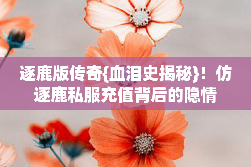 仿逐鹿私服充值背后的隐情图片