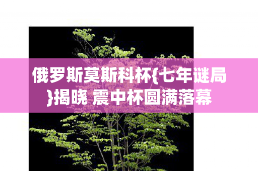 揭晓 震中杯圆满落幕图片