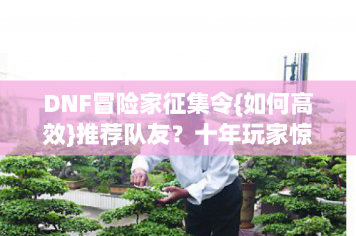 DNF冒险家征集令图片