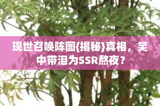 笑中带泪为SSR熬夜图片