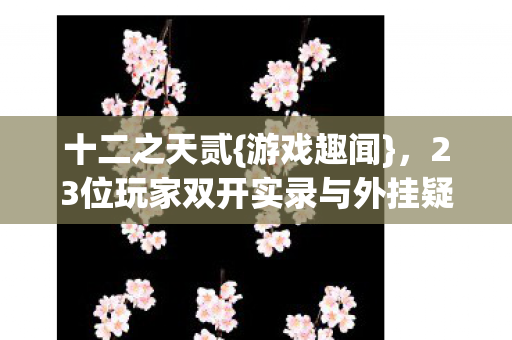 23位玩家双开实录与外挂疑云图片