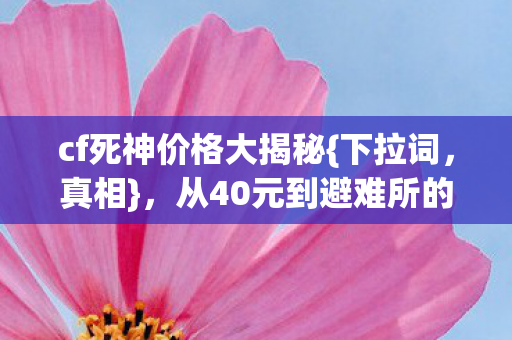 从40元到避难所的变迁图片