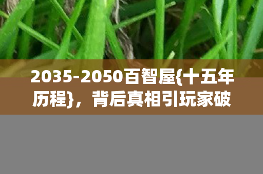 背后真相引玩家破防图片