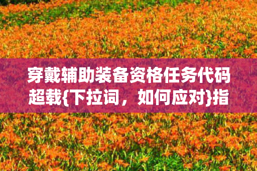穿戴辅助装备资格任务代码超载图片