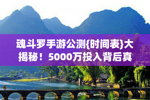 5000万投入背后真相图片