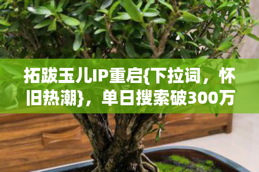 单日搜索破300万次图片