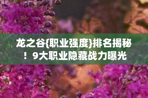 9大职业隐藏战力曝光图片