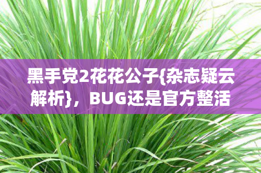 黑手党2花花公子{杂志疑云解析},BUG还是官方整活? 黑手党2花花公子{杂志疑云解析},BUG还是官方整活?