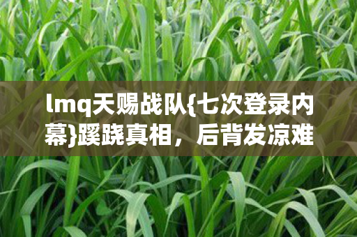 lmq天赐战队图片