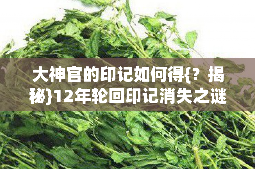 12年轮回印记消失之谜图片