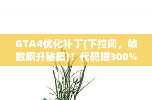 GTA4优化补丁图片