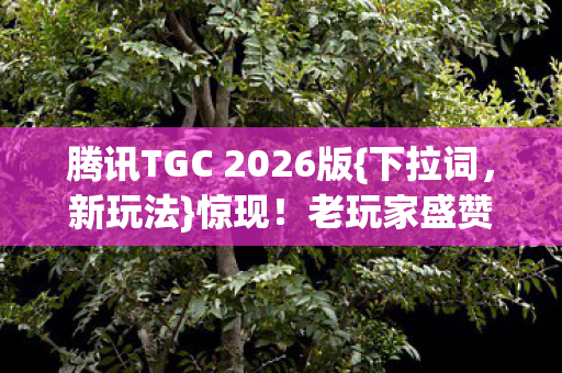 腾讯TGC 2026版{下拉词,新玩法}惊现!老玩家盛赞绝了 腾讯TGC 2026版{下拉词,新玩法}惊现!老玩家盛赞绝了