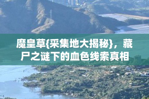 魔皇草{采集地大揭秘},藏尸之谜下的血色线索真相 魔皇草{采集地大揭秘},藏尸之谜下的血色线索真相
