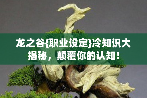 龙之谷{职业设定}冷知识大揭秘,颠覆你的认知! 龙之谷{职业设定}冷知识大揭秘,颠覆你的认知!