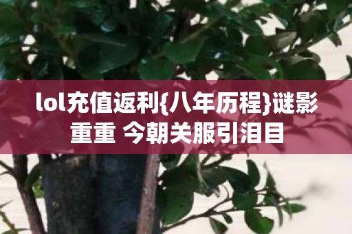 谜影重重 今朝关服引泪目图片