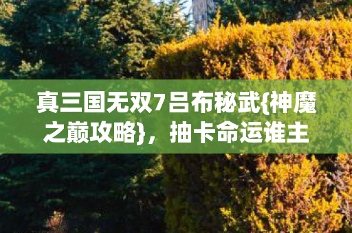 真三国无双7吕布秘武图片