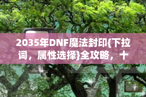2035年DNF魔法封印图片
