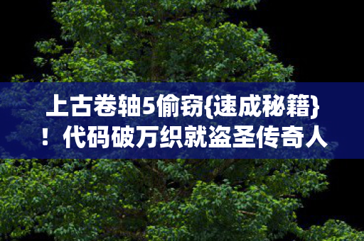 代码破万织就盗圣传奇人生图片