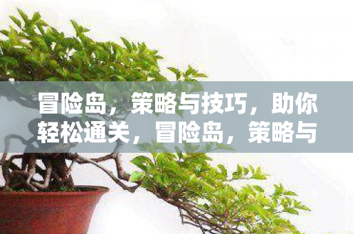 冒险岛，策略与技巧，助你轻松通关，冒险岛，策略与技巧助你轻松通关