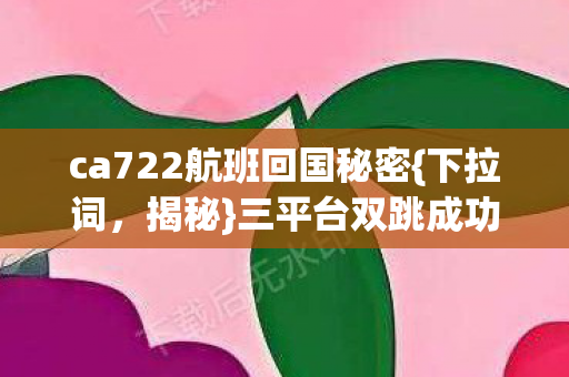 ca722航班回国秘密图片