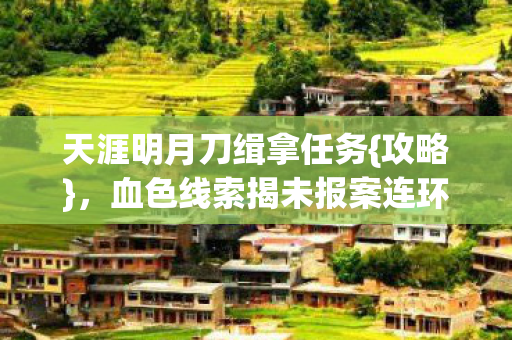 血色线索揭未报案连环谜局图片