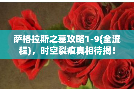 萨格拉斯之墓攻略1图片