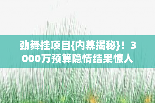 3000万预算隐情结果惊人图片