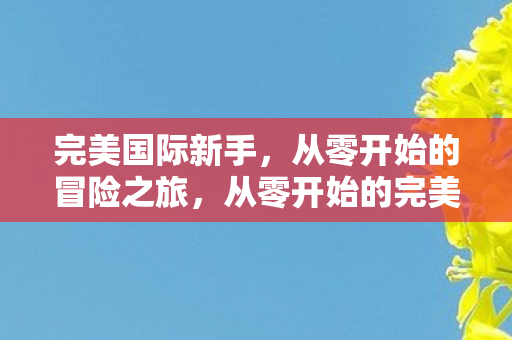 从零开始的完美国际冒险之旅图片