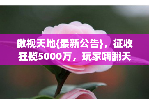征收狂揽5000万图片