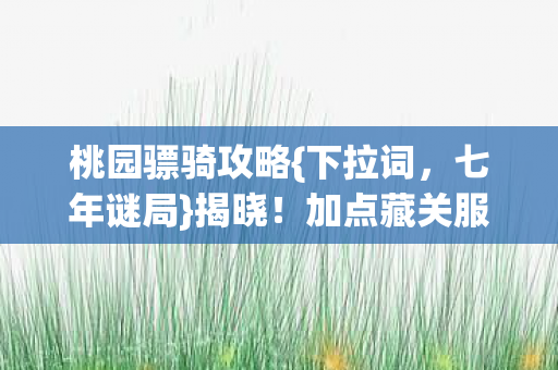 桃园骠骑攻略{下拉词,七年谜局}揭晓!加点藏关服密码? 桃园骠骑攻略{下拉词,七年谜局}揭晓!加点藏关服密码?