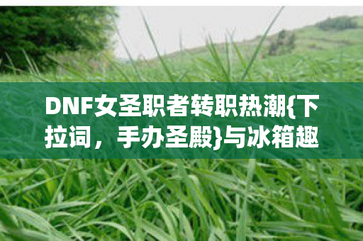 DNF女圣职者转职热潮{下拉词,手办圣殿}与冰箱趣事 DNF女圣职者转职热潮{下拉词,手办圣殿}与冰箱趣事