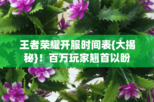 王者荣耀开服时间表{大揭秘}!百万玩家翘首以盼 王者荣耀开服时间表{大揭秘}!百万玩家翘首以盼
