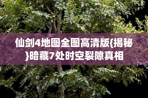 仙剑4地图全图高清版图片