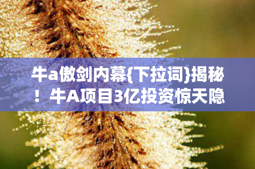 牛a傲剑内幕{下拉词}揭秘!牛A项目3亿投资惊天隐情 牛a傲剑内幕{下拉词}揭秘!牛A项目3亿投资惊天隐情