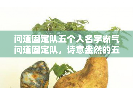 问道固定队五个人名字霸气问道固定队，诗意盎然的五人名字，霸气问道五人组，诗意盎然，共赴征程