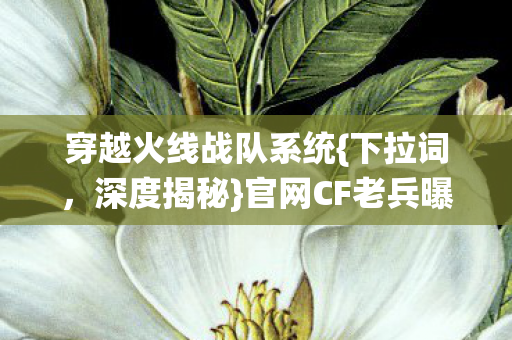 官网CF老兵曝惊天疑点图片