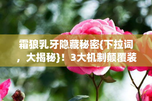 3大机制颠覆装备认知图片