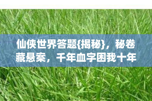 千年血字困我十年图片