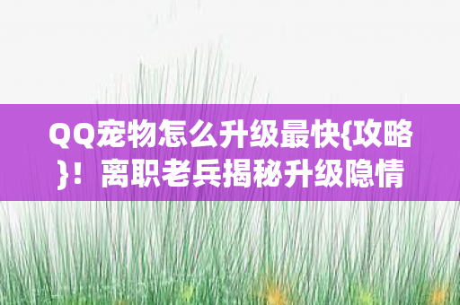 QQ宠物怎么升级最快图片