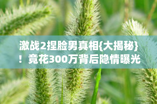 竟花300万背后隐情曝光图片
