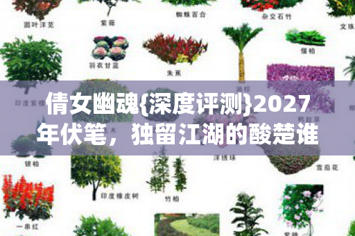 独留江湖的酸楚谁懂图片