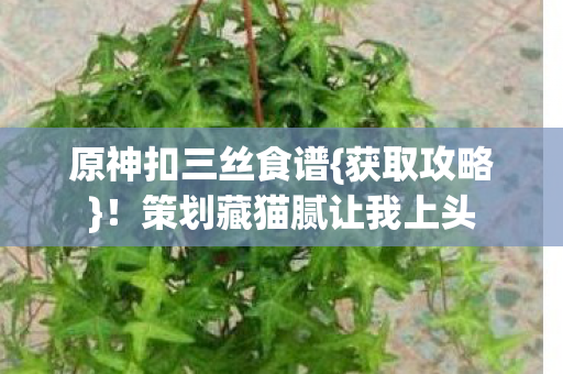 策划藏猫腻让我上头图片