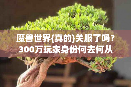 300万玩家身份何去何从图片