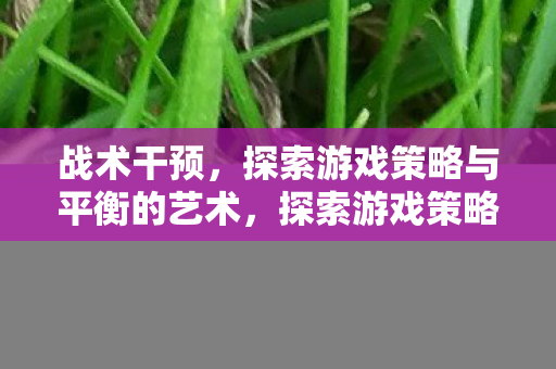 探索游戏策略与平衡的艺术图片
