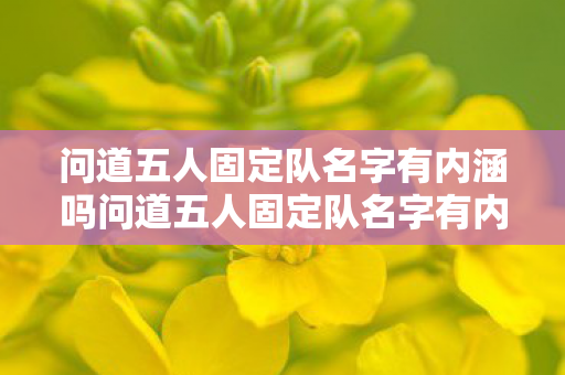 问道五人固定队名字有内涵吗问道五人固定队名字有内涵,共赴青云路,共赴青云路,问道五人固定队名字的内涵 问道五人固定队名字有内涵吗问道五人固定队名字有内涵,共赴青云路,共赴青云路,问道五人固定队名字的内涵